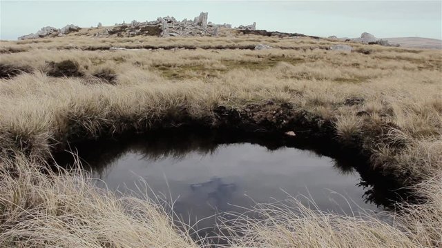Shell Explosion Aftermath: Crater near Port Stanley, Falkland Islands (Islas Malvinas) 