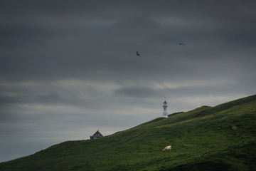 Fototapeta premium Lighthouse on the island Mykines, Faroe Islands