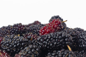 The mulberry fruit image on white background .
