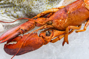 Lobster on the ice In the supermarket, Fresh Red Lobster