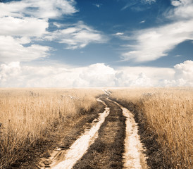 road in the fields