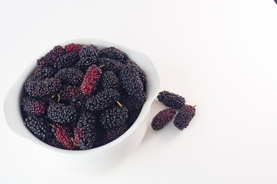 The mulberry fruit image on white background .