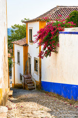 Fototapeta na wymiar cobblestone street with old white house with blue trim in portugal
