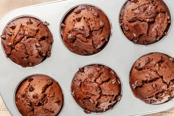 An overhead closeup photo of chocolate chip muffins in a muffin tray