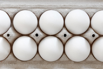 White egg organic carton package, close up view