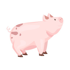 Isolated object of pig and animal sign. Collection of pig and meat   stock symbol for web.