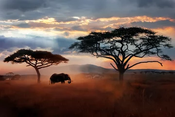 Deurstickers Olifant Wilde Afrikaanse olifant in de savanne. Serengeti Nationaal Park. Dieren in het wild van Tanzania. Afrikaans landschap.