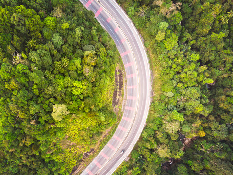 road and forest aerial view © thekopmylife