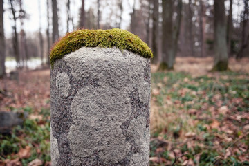 Stone pillar with green moss "hat"