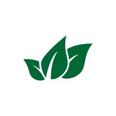 Leaf icon design template vector isolated