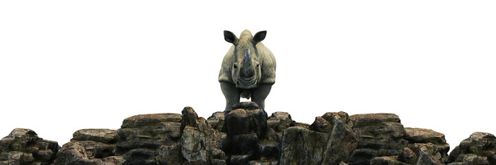 Fototapeta na wymiar Rhino at sunset. 3d rendering