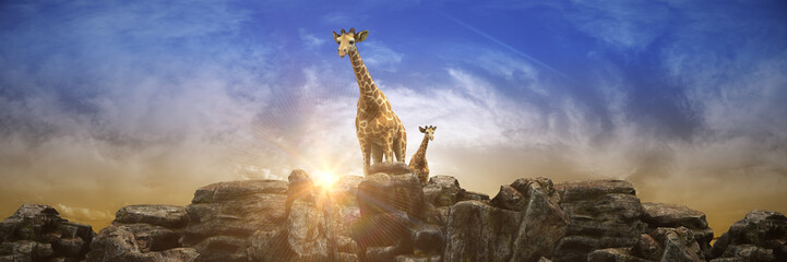 Giraffe at sunset. 3d rendering