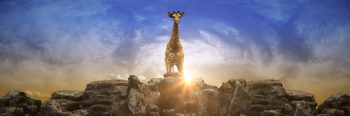 Giraffe at sunset. 3d rendering © lchumpitaz