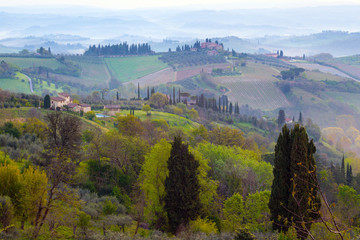 Typical Tuscan landscape