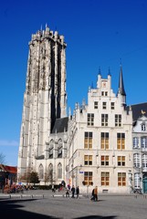Fototapeta premium Malines : Cathédrale Saint-Rombaut (Belgique)