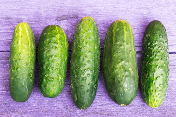 Five fresh cucumbers on the wooden violet background, agriculture and healthy eating concept