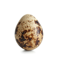 Naklejka na ściany i meble Raw quail egg on white background