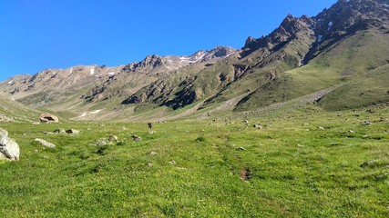 Fototapeta premium Caucasus mountain landscape