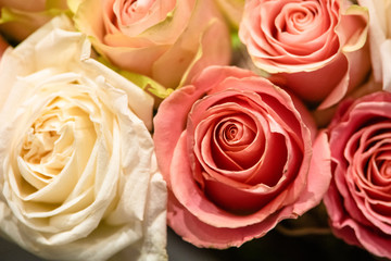 Fototapeta na wymiar rose flowers for calendar and postcard