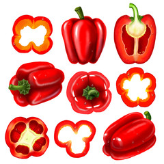 Large set. Illustration of a red bell pepper.
