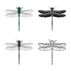 Vector design of insect and fly logo. Set of insect and element stock symbol for web.