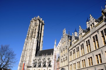 Fototapeta premium Malines : Cathédrale Saint-Rombaut (Belgique)