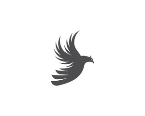 Falcon Bird Logo