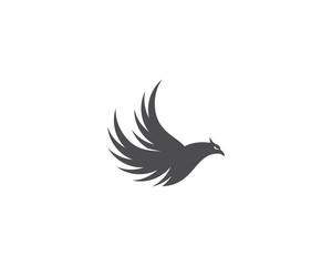 Falcon Bird Logo