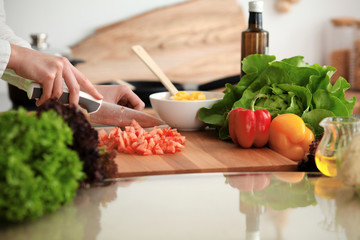 Unknown human hands cooking in kitchen. Woman slicing red tomatoes. Healthy meal, and vegetarian food concept