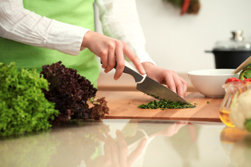 Unknown human hands cooking in kitchen. Woman is busy with vegetable salad. Healthy meal, and vegetarian food concept