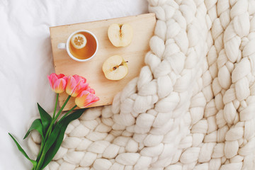 Wooden tray with cup of tea, apple, spring tulips flowers and white merino wool plaid or blanket of thick yarn on white bedding. Good morning concept. Breakfast in bed. Top view.