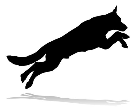 recommend clip art: A detailed animal silhouette of a pet dog