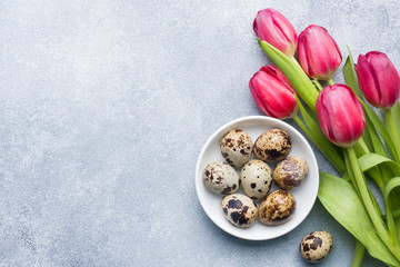 Bright flowers tulips and quail eggs on stone background. Spring and Easter holiday concept with copy space
