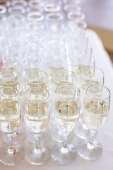 a row of glasses filled with champagne are lined up ready to be served