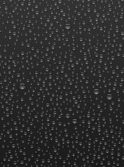 Black background with realistic water or dew drops.