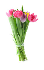 Bouquet of beautiful tulips on white background