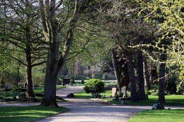 trees, alleys and headstones at municipal cemetery in Amsterdam, The Netherlands