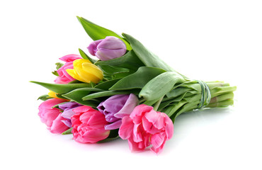 Bouquet of beautiful tulips on white background