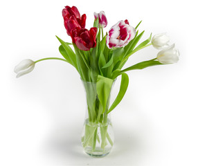 Bouquet of multicolored tulips in glass flower vase with water