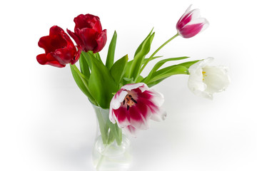 Bouquet of multicolored tulips in glass flower vase with water