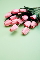 Obraz na płótnie Canvas Bunch of tulip flowers on green