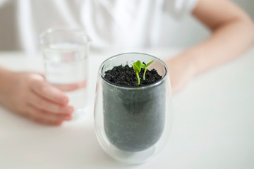 Little toddler girl is holding a transparent glass with water and watering young plant. Caring for a new life. The child's hands. Selective focus. Earth day holiday concept. World Environment Day