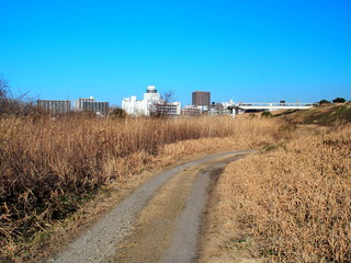 早春の河川敷から見る松戸市街地風景