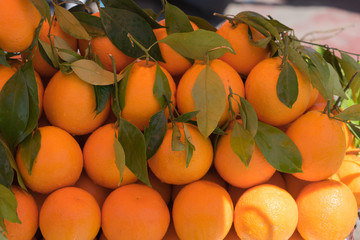 Frische sonnengereifte Orangen