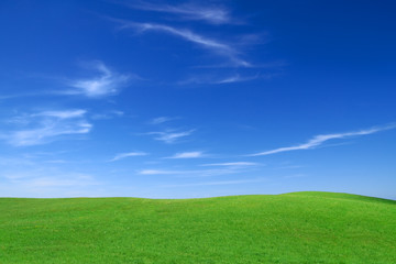 Obraz premium Idyllic view, green field and the blue sky with white clouds