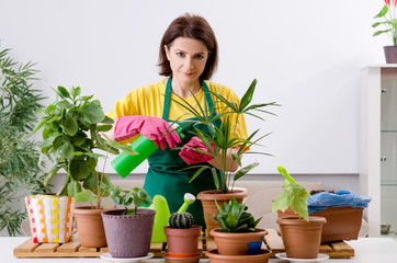 Female gardener with plants indoors 