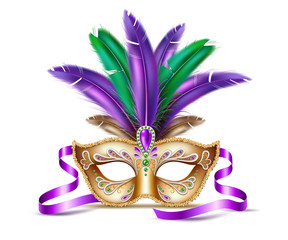 Vector mardi gras venetian mask brazil carnival - obrazy, fototapety, plakaty