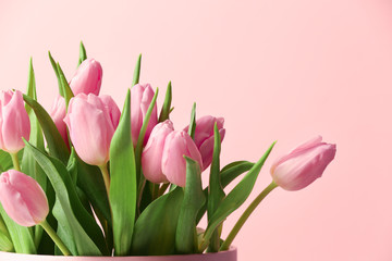 Bouquet of beautiful tulips on color background