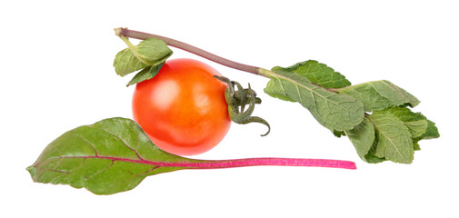 Red tomato, mint branch with fresh green leaves and chard green leaf isolated on white background. Ingredients for salad