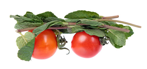 Two red tomatoes and mint branches with fresh green leaves isolated on white background. Ingredients for salad